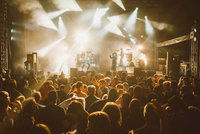    Nektar OK fest od 12. do 14. jula