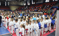 Karate čarolija u “Boriku”