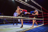   Poklon ljubiteljima borilačkih sportova