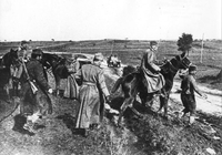 Kralj Petar I: Moja će vojska pored hrišćana zateći i Srbe muslimane