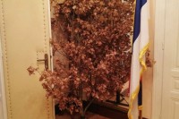 Унесен бадњак у Додиков кабинет у Сарајеву