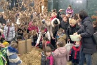  Љепота бадњака и снага чеснице уносе срећу у дом