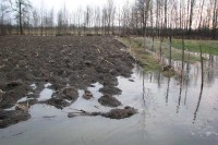  Хоће ли топљење снијега значајније повећати водостаје?