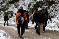 U Mrkonjić Gradu pronađeno 14 migranata