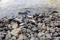  Зими грабе понуде за море