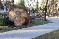 Најјачи удар вјетар у Требињу 92 километра на час