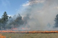 Krčenje njiva u RS uzelo četvrtu žrtvu