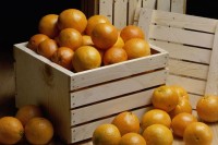 У РС забрањен увоз мандарина из Турске