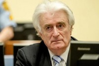 Drugostepena presuda Karadžiću u srijedu, 20. marta