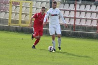  Radniku više ni Evropa nije daleko