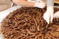 U Travniku napravljena porcija od 2.160 ćevapa