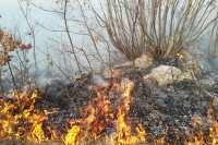 У Херцеговини активно 14 пожара, имовина грађана није угрожена