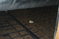 Banjalučanin imao dvije laboratorije za drogu