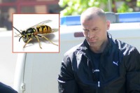 Na suđenje bivšim banjalučkim inspektorima optuženi dokazima ubio stršljena
