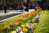 Sutra do 30 stepeni, a u noći na subotu moguća kiša