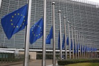 Ajhorstova, Satler i Dobran mogući nasljednici Vigemarka