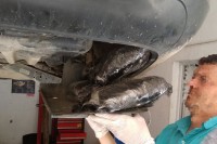 Graničari u Gacku spriječili krijumčarenje droge, Crnogorac pobjegao