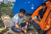 Od početka godine prijavljen 9.081 ilegalni migrant