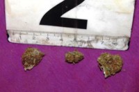 Pretresi širom Tuzlanskog kantona, policija zaplijenila drogu i oružje
