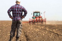   Пољопривредници из РС и ФБиХ формирају удружење на државном нивоу