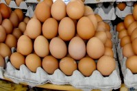Bosni i Hercegovini odobren izvoz jaja u Evropsku uniju