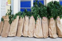 Pronađena plantaža marihuane, uhapšeni stric i bratić