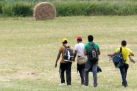 U prvih šest mjeseci na području Bijeljine pronađena 762 migranta