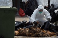 Незбринути отпад пријетња животној средини