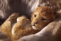 “Kralj lavova” animirani film s najvećom zaradom