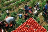 Јачање задругарства кључно за развој села