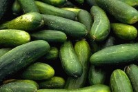 Забрањен увоз 20.000 килограма краставаца