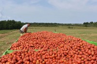 За подстицаје више од 1,2 милиона КМ