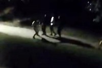 Нова туча миграната у Бихаћу: Грађани снимили немиле сцене VIDEO