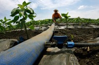 Вода на ораницама Српске олакшала рад произвођачима