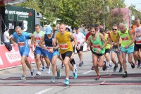 Počeo “Nektar maraton”