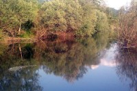 Бијељински полицајац ван дужности спасио мушкарца од самоубиства