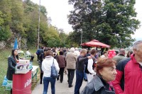 Пашалић: Потребно брендирати дрварску дрењину