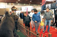 “Лорист” посјетило 35.000 људи