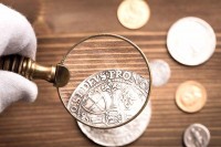 Криминалци не бирају: Шверцују папин новац и барске корњаче