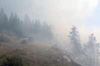 Mektić nije odobrio da helikopter oružanih snaga gasi požar