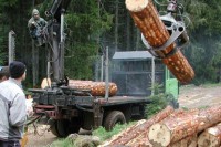 Bivši rukovodilac Šumskog gazdinstva “Romanija” Sokolac poslove gurao preduzećima supruge i sina