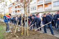 Почела јесења акција садње дрвореда у Бањалуци и означена прослава основне школе "Доситеј Обрадовић