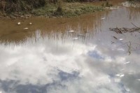 Pomor ribe u Neretvi zbog izlijevanja otpadnih voda s deponije Uborak