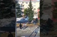 Pripreme za Božić u Vitezu: Oborili jelku na neopreznog kolegu VIDEO