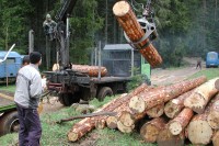 Пашалић: Интегрални информациони систем за бољу ликвидност шума