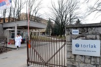 Agenciji za lekove i medicinska sredstva Srbije predat zahtjev za “Torlakovu” vakcinu protiv gripa