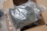 Crnogorac pokušao prokrijumčariti 17 kilograma marihuane u BiH