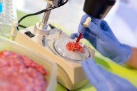 Опасни паразит вреба из меса дивљачи