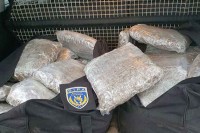 Dva lica uhapšena, oduzeto oko 40 kilograma kanabisa