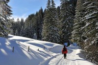 Danas pretežno sunčano i prohladno